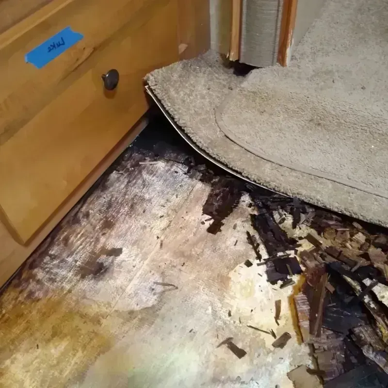 Wood Floor Water Damage in North La Crosse, WI